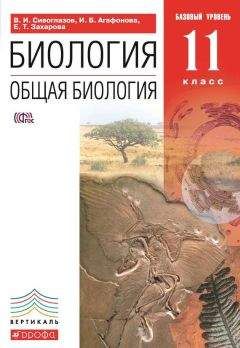 Василий Рогожкин - Всеобщая история. XX – начало XXI века. 11 класс. Базовый уровень