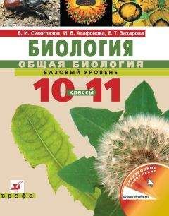 Василий Рогожкин - Всеобщая история. XX – начало XXI века. 11 класс. Базовый уровень