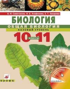 Александра Смилянская - Секс. Учебник для школьников. Начальный уровень