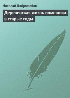 Николай Добролюбов - Проблема общественного идеала
