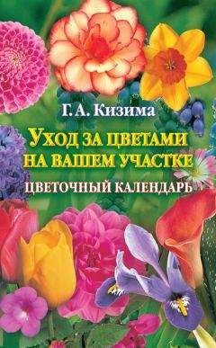 Владимир Щекин - Земляника на вашем участке