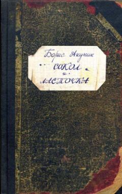 Борис Акунин - Сокол и Ласточка