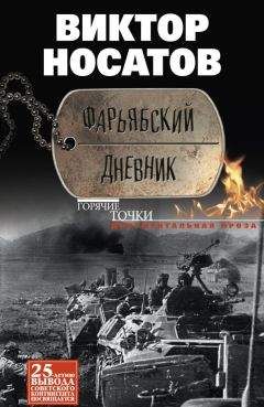 Владимир Стеженский - Солдатский дневник