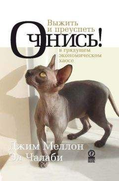 Эл Чалаби - Очнись! Выжить и преуспеть в грядущем экономическом хаосе