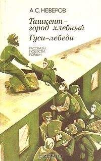 Александр Неверов - Андрон Непутевый