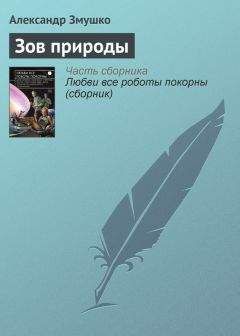 Эдгар По - Необыкновенное приключение некоего Ганса Пфааля