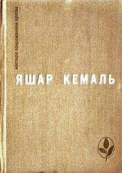 Александр Фурман - Книга Фурмана. История одного присутствия. Часть III. Вниз по кроличьей норе