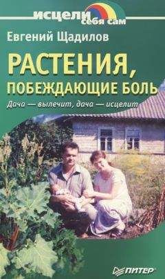 Евгений Щадилов - Лечимся овощами. Дача — вылечит, дача — исцелит