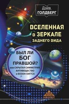 Дэйв Голдберг - Вселенная в зеркале заднего вида. Был ли Бог правшой? Или скрытая симметрия, антивещество и бозон Хиггса