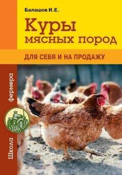 Светлана Бондаренко - Все о голубях