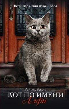 Джеймс Боуэн - Уличный кот по имени Боб. Как человек и кот обрели надежду на улицах Лондона