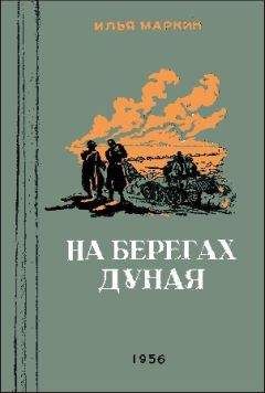 Илья Веселов - Три года в тылу врага