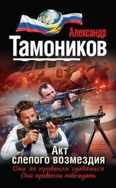 Александр Тамоников - Мститель