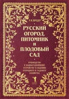 Павел Шешко - Зимний сад