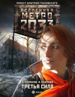 Сергей Зайцев - Метро 2033. Тёмная мишень