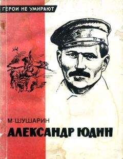 Григорий Василенко - Крик безмолвия (записки генерала)