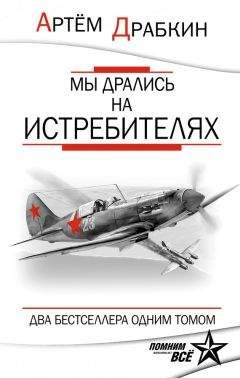 Артем Драбкин - Штурмовики. «Мы взлетали в ад»