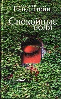 Александр Гольдштейн - Аспекты духовного брака