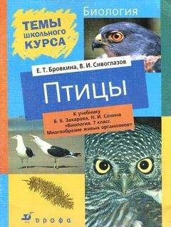 Владимир Алексеев - Членистоногие