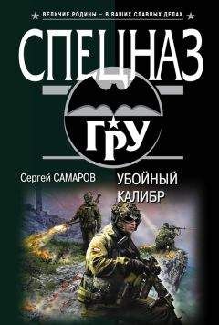 Сергей Самаров - Идеальный силовик