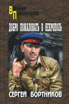 Сергей Карпущенко - Капитан полевой артиллерии