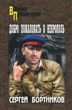 Ганс-Ульрих Кранц - Золото третьего рейха. Кто владеет партийной кассой нацистов?