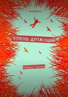 Владимир Лидин - Рассказы о двадцатом годе [Сборник]