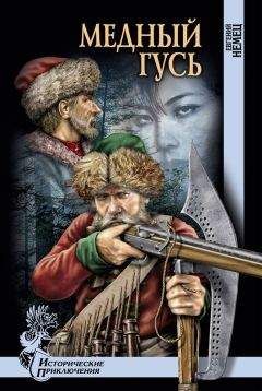 Христиан Вульпиус - Ринальдо Ринальдини, атаман разбойников