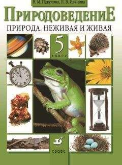 Александр Киселев - История России. С древнейших времен до XVI века. 6 класс