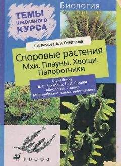 Татьяна Козлова - Покрытосеменные растения
