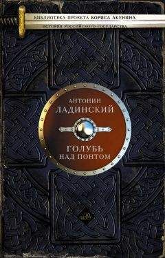 Валерий Язвицкий - Вольное царство. Государь всея Руси