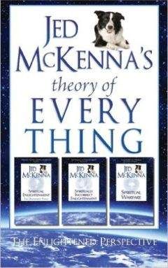 Джед МакКенна - Теория Всего Просветленная перспектива