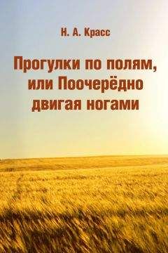 Александр Гольденберг - Ты – Мастер. Как стать по-настоящему богатым и духовно развитым человеком