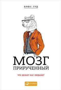 Алексей Редозубов - Мозг напрокат. Как работает человеческое мышление и как создать душу для компьютера