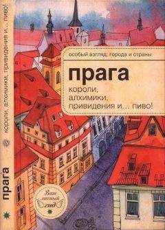 Александр Томчин - Германия и немцы. О чем молчат путеводители