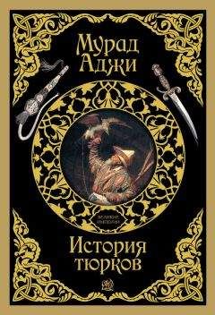 Михаил Ципоруха - Первопроходцы. Русские имена на карте Евразии