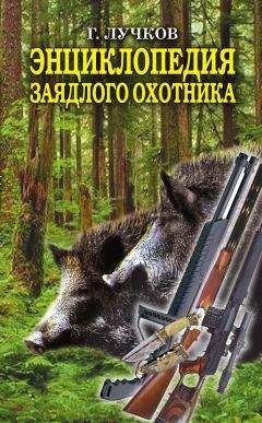 Геннадий Лучков - Энциклопедия заядлого охотника. 500 секретов мужского удовольствия