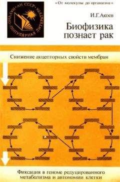 Григорий Кассиль - Внутренняя среда организма