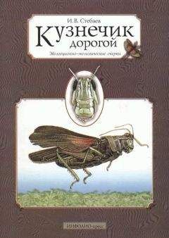 Юрий Холодов - Мозг в электромагнитных полях