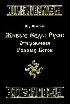 Волхв Саньян  - Веда. Постижение Руси. Начало XXI века