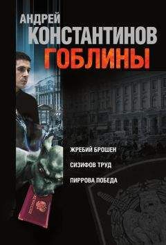 Андрей Константинов - Гоблины. Жребий брошен