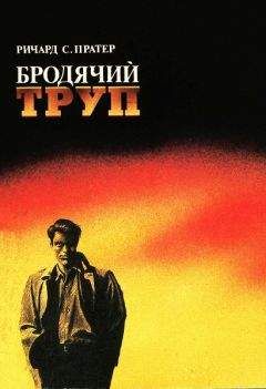 Джеймс Суйэн - Заряженные кости