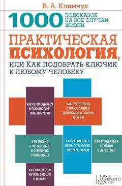 Виктор Шейнов - Управление конфликтами