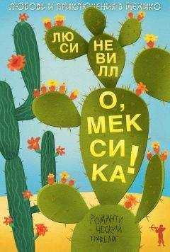 Дан Родес - Тимолеон Вьета. Сентиментальное путешествие