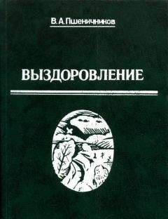 Виталий Трубин - Теплое крыльцо