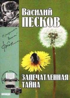 Роальд Даль - Дорога в рай