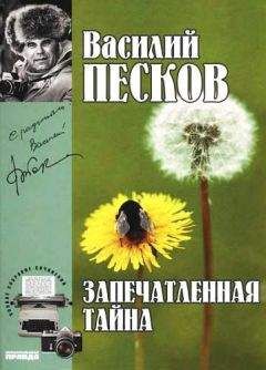 Василий Песков - Полное собрание сочинений. Том 18. Посиделки на закате