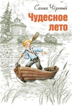 Илья Дворкин - Бурное лето Пашки Рукавишникова