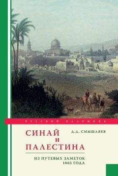 Леонид Кавелин - Старый Иерусалим и его окрестности. Из записок инока-паломника