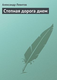 Александр Левитов - Степная дорога днем